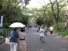 thumbs/Japan_20090923_00783.jpg