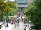 thumbs/Japan_20090923_00786.jpg