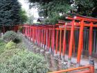 thumbs/Japan_20090923_00836.jpg