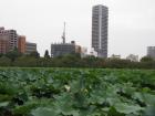 thumbs/Japan_20090923_00844.jpg