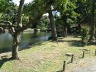 thumbs/Japan_20090925_01237.jpg