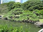 thumbs/Japan_20090925_01266.jpg