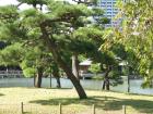 thumbs/Japan_20090925_01286.jpg