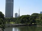 thumbs/Japan_20090925_01291.jpg