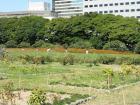 thumbs/Japan_20090925_01294.jpg
