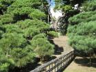 thumbs/Japan_20090925_01301.jpg