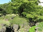 thumbs/Japan_20090925_01377.jpg