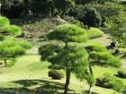 thumbs/Japan_20090925_01392.jpg