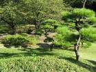 thumbs/Japan_20090925_01393.jpg