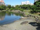 thumbs/Japan_20090925_01395.jpg