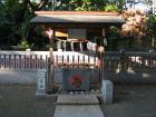thumbs/Japan_20090925_01495.jpg