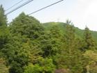 thumbs/Japan_20091014_07206.jpg