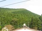 thumbs/Japan_20091014_07207.jpg