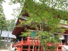 thumbs/Japan_20091014_07245.jpg