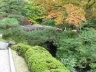 thumbs/Japan_20091014_07254.jpg