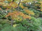 thumbs/Japan_20091014_07255.jpg