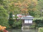 thumbs/Japan_20091014_07256.jpg