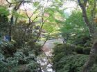 thumbs/Japan_20091014_07262.jpg