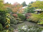thumbs/Japan_20091014_07266.jpg