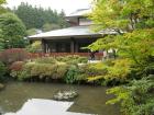 thumbs/Japan_20091014_07267.jpg