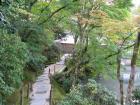 thumbs/Japan_20091014_07270.jpg