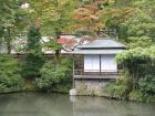 thumbs/Japan_20091014_07275.jpg