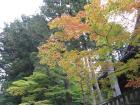 thumbs/Japan_20091014_07283.jpg