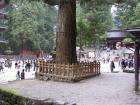 thumbs/Japan_20091014_07312.jpg