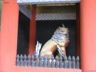 thumbs/Japan_20091014_07328.jpg