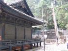 thumbs/Japan_20091014_07409.jpg