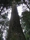 thumbs/Japan_20091014_07444.jpg
