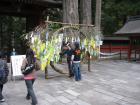 thumbs/Japan_20091014_07453.jpg