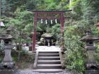 thumbs/Japan_20091014_07475.jpg