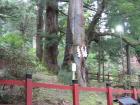 thumbs/Japan_20091014_07481.jpg