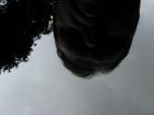 thumbs/Japan_20091014_07549.jpg