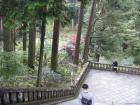 thumbs/Japan_20091014_07557.jpg