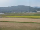 thumbs/Japan_20091014_07621.jpg