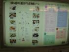 thumbs/Japan_20091016_08172.jpg