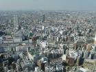 thumbs/Japan_20091016_08199.jpg