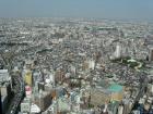 thumbs/Japan_20091016_08203.jpg