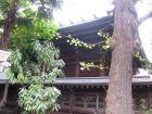 thumbs/Japan_20091020_09456.jpg