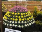 thumbs/Japan_20091020_09481.jpg