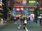 thumbs/Japan_20091020_09699.jpg
