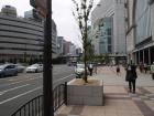 thumbs/20120920T115236_Japan.jpg