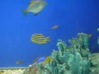 thumbs/20120921T143318_Japan.jpg