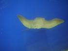 thumbs/20120921T143326_Japan.jpg