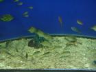 thumbs/20120921T143348_Japan.jpg
