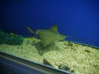 thumbs/20120921T143428_Japan.jpg