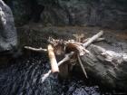 thumbs/20120921T143658_Japan.jpg