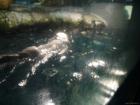 thumbs/20120921T144100_Japan.jpg